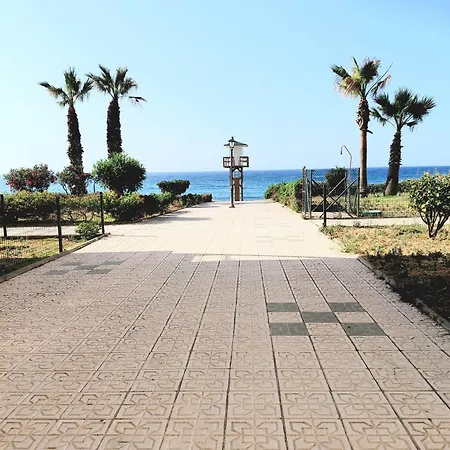 Brisa Del Alba